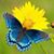 Mona B. Vaden's profile image