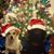 Marcia O'Connell Jackson's profile image
