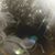 Deborah Gilliam's profile image