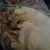 Kathy Shubert's profile image
