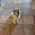 Beki White Vale's profile image