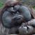 Tom Smith's profile image