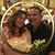 Kriste Cortez N-Ray Rodriguez's profile image