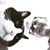 Liz Timko's profile image