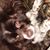 Jimmie Robertson's profile image
