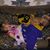 Travis Grahmann's profile image