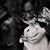 Gretchen Schweiss's profile image