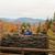 Lindsey Dean Whipps's profile image