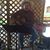 Dave McNeir's profile image
