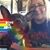Sandy Avila's profile image