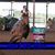 Donna Gresham Coneley's profile image