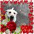 Cathy Orr's profile image