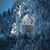 Sherry Garland's profile image