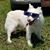 Philip Campbell's profile image