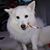 Liz Corbidge Sanders's profile image