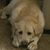 Joe Culler's profile image