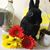 Rosangela Stevenson's profile image