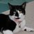 Judy Sweat's profile image
