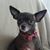 Patti Pina's profile image