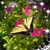 Cindy Lemasters's profile image