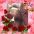 Cathy Pezner's profile image