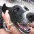 Lynda Burke Pfaff's profile image