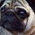 Mary Madeline Fitzgerald Pearson's profile image