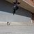 Zaq Borst's profile image