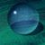 Jayne West's profile image