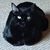 Cheryl Ann's profile image