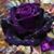 Laura Etteldorf's profile image