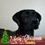 Karen Proctor's profile image