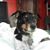 Manuel Cardozo III's profile image