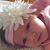 Jacquelyn Traffanstedt's profile image