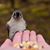 Kris Mellinger's profile image