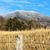 Gina Gaudio Telek's profile image