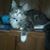 Jim Weinert's profile image