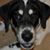 Debbie Bosmans Russell's profile image