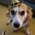 Carol Hoppenworth's profile image