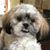 Jan Thurman Geihsler's profile image