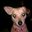 Moses Ferreira's profile image
