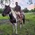 Jesus Olivares's profile image