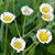 Karen L. Dunn's profile image