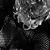 Anna Benitez's profile image