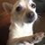 Barbara Isert's profile image