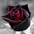 Eve Pogue's profile image