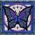 Elaine Newberry Evans's profile image
