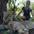 Kate Hrabcova's profile image