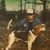 Jack Siler Jr.'s profile image
