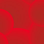 thefeed B.'s profile image